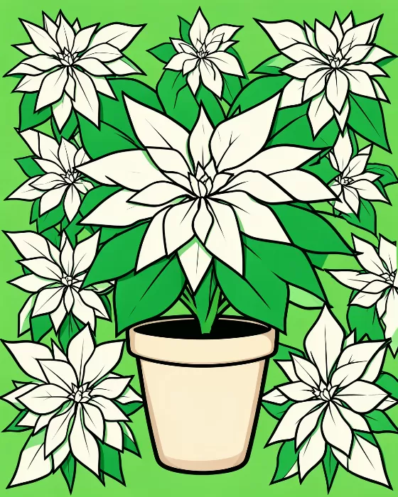 Poinsettia Rhythm