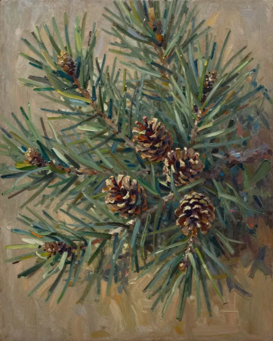 Pinecone Cluster