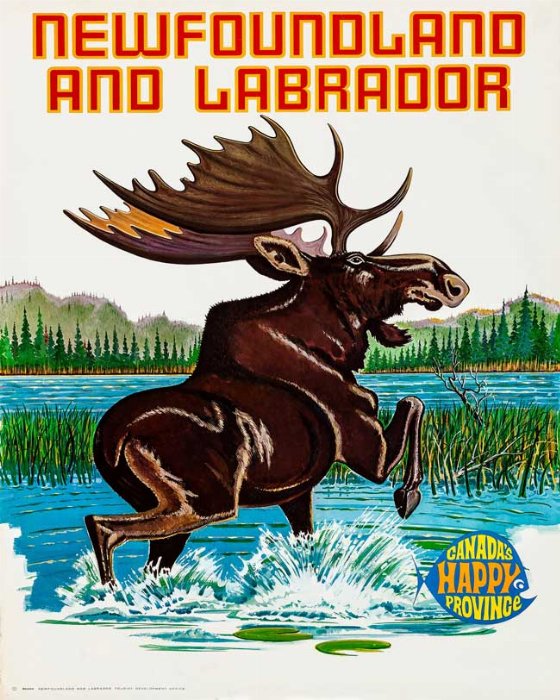 Happy Moose - Newfoundland art print