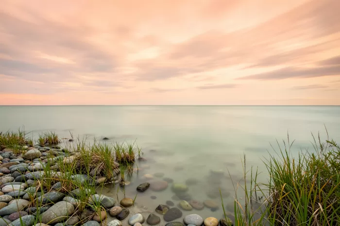 Marsh Tranquility