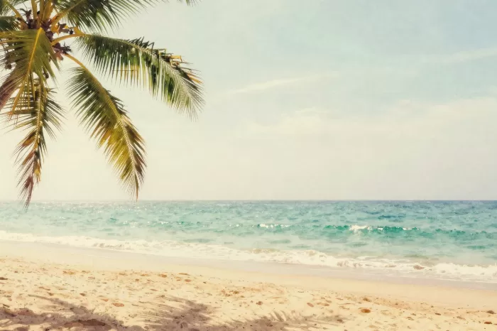 Serene Shores