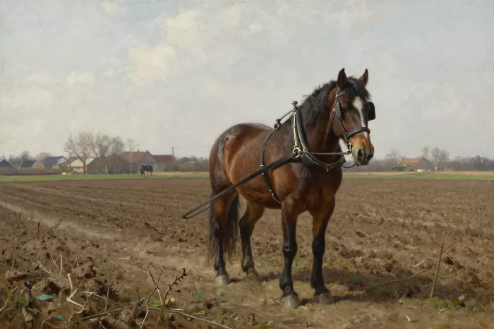 Spring Furrow
