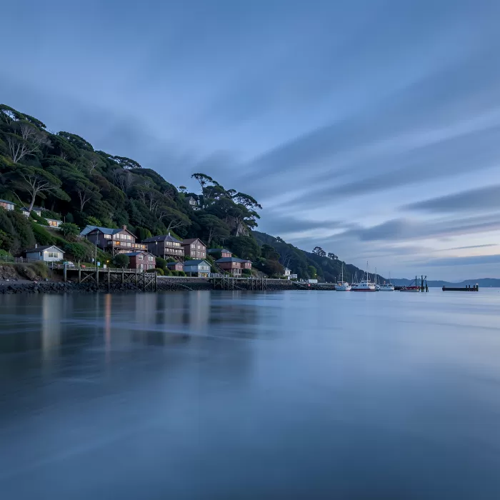 Wellington Dawn