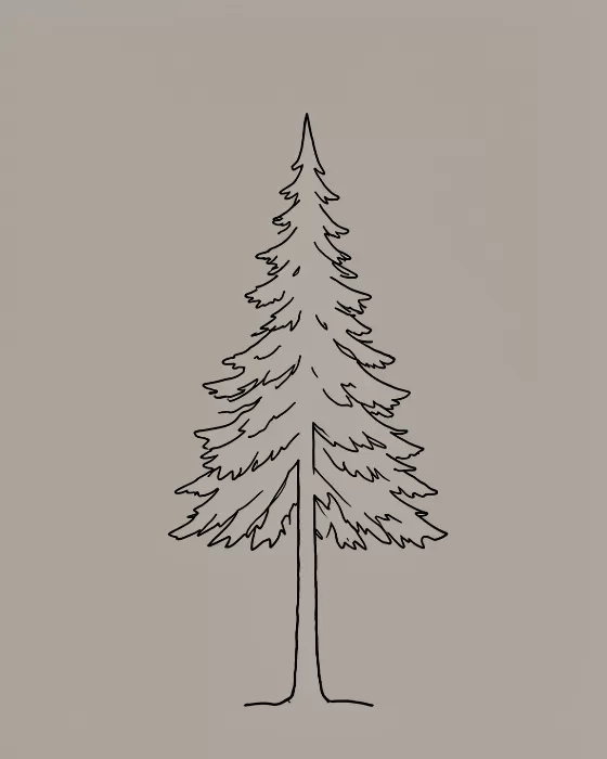 Douglas Fir
