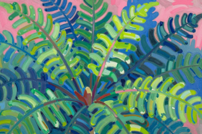 Fuchsia Ferns