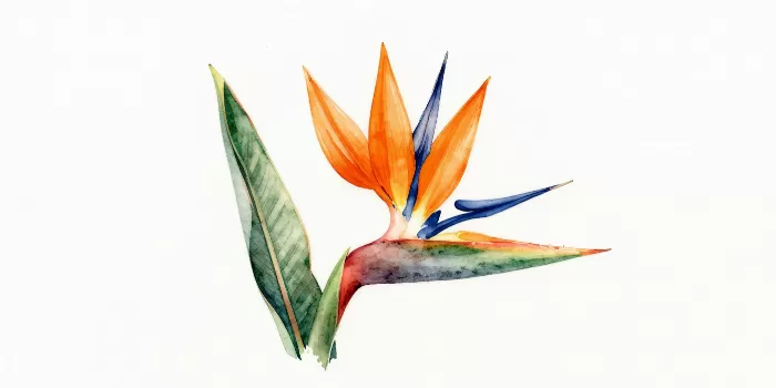 Crane Bloom