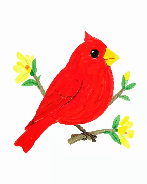 Cheerful Redbird