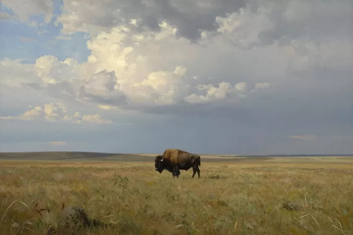 Bison Sky