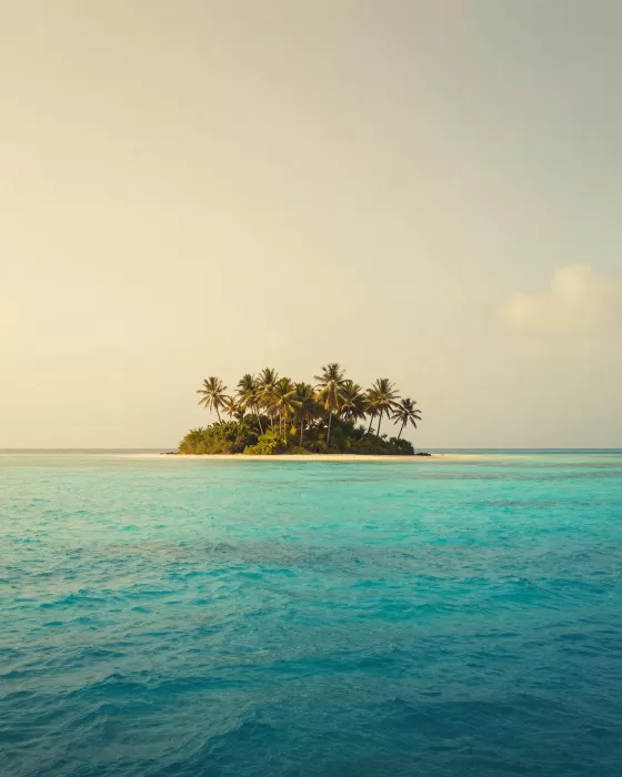 Palm Lagoon