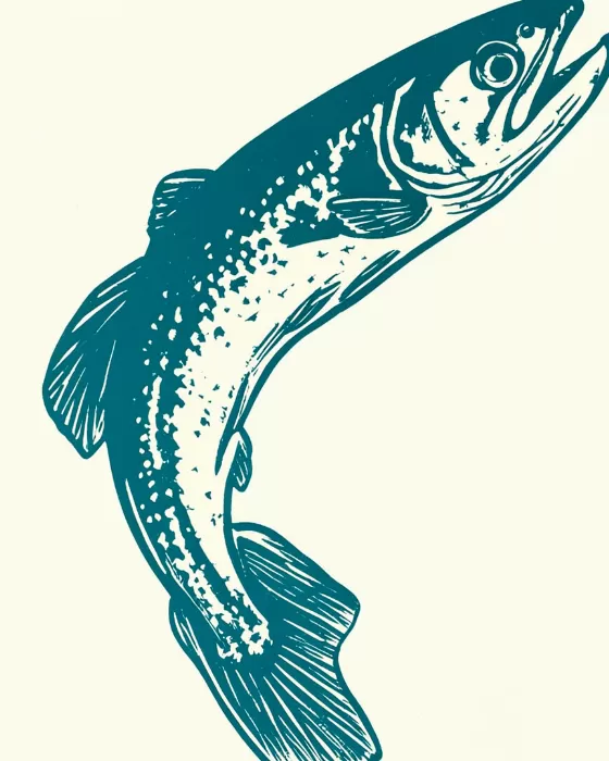 Teal Salmon