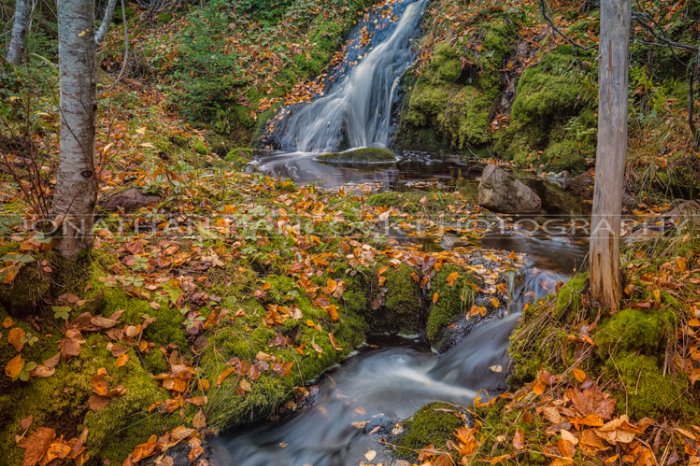 Tranquil Waterfall - Newfoundland art print