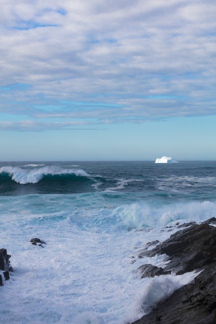 Some Wave - Newfoundland art print
