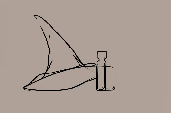 Witch's Pair