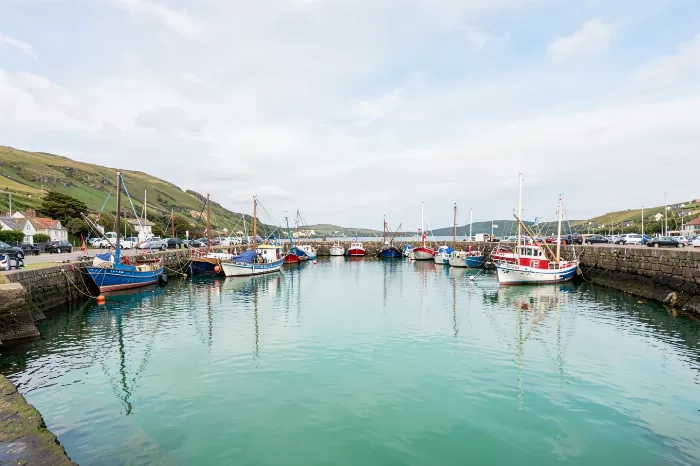 Dingle Moorings