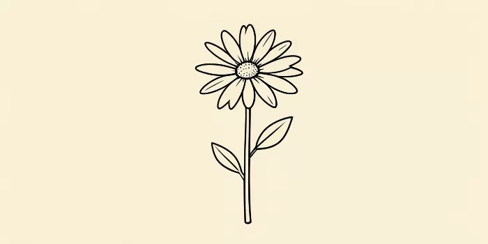 Daisy Linework