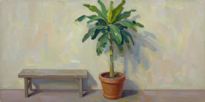 Potted Plant