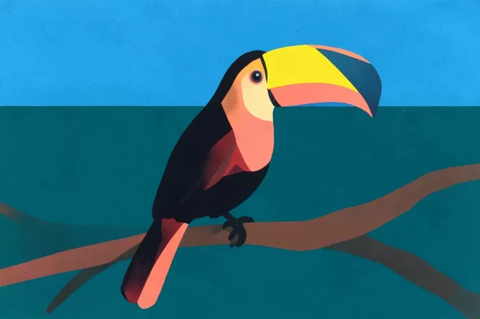 Toucan Rest