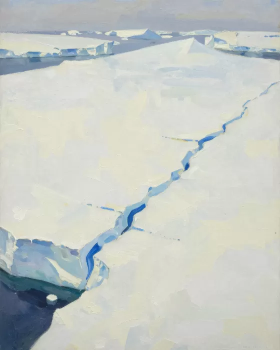 Antarctic Crevasses