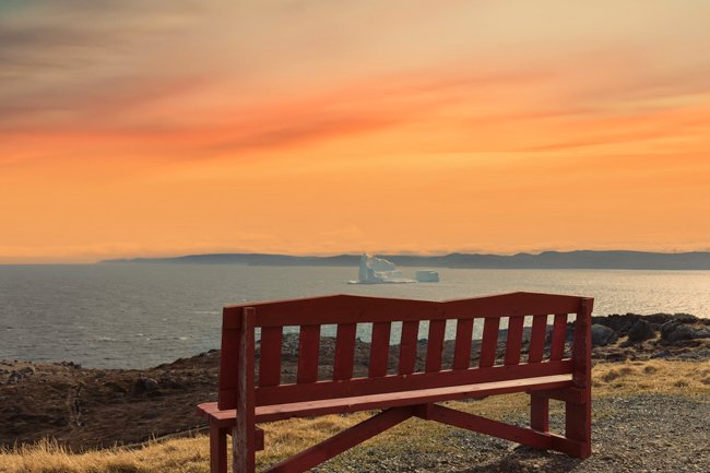 Taking It Easy - Newfoundland art print