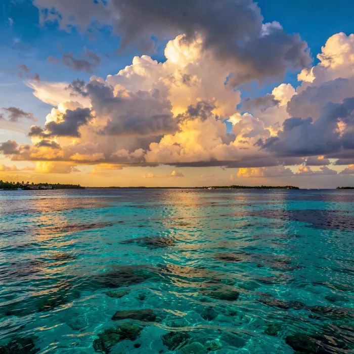 Keys Shallows