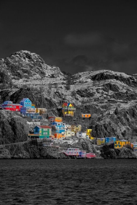 Quest Vertical - Newfoundland art print