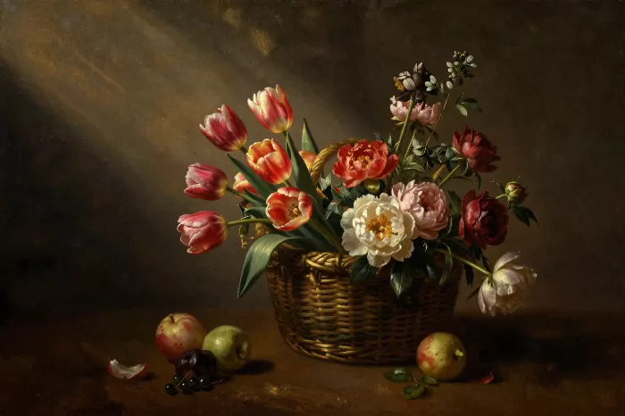 Tulip Splendour