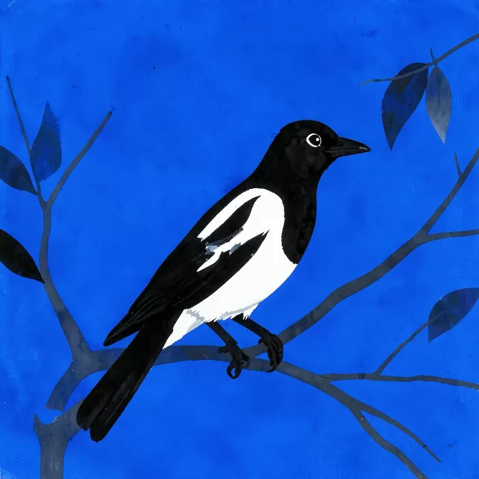 Magpie Branch