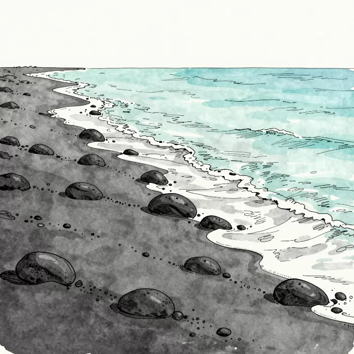 Aqua Wash