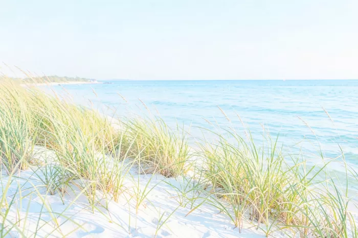 Lakegrass Shore