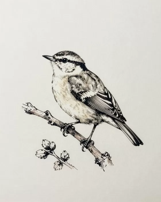 Bramble Song