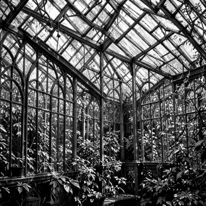 Glasshouse Shadows