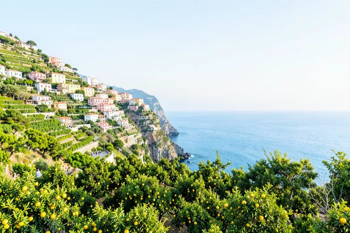 Amalfi Dawn