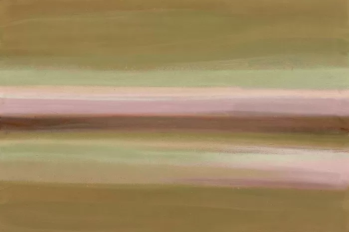Soft Vista