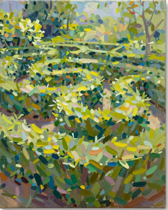 Sunlit Maze