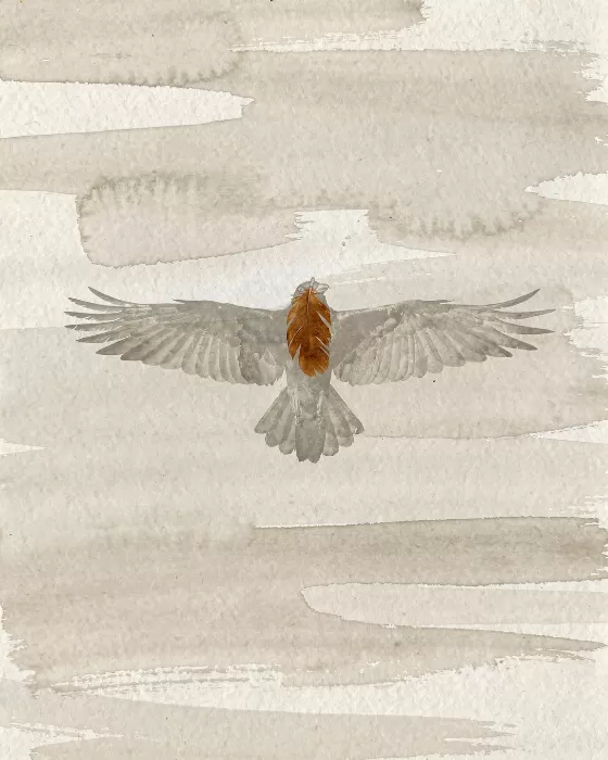 Rust Feather
