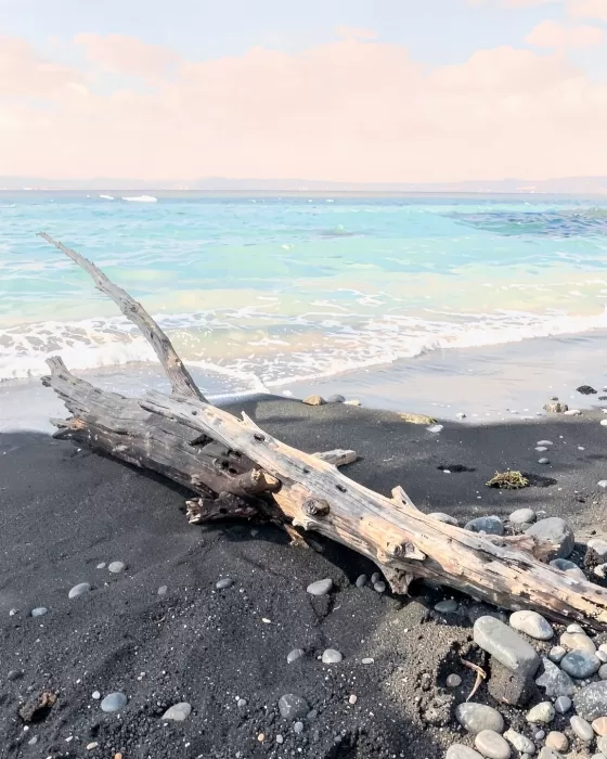 Driftwood Lagoon