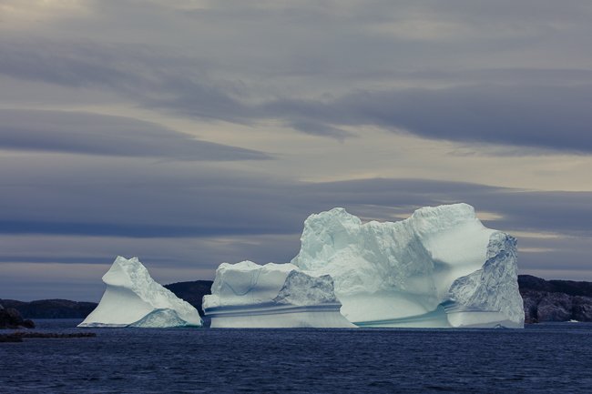 Nice Ice - Newfoundland art print