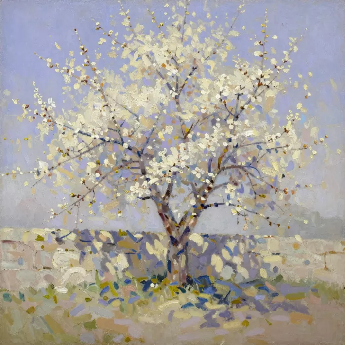 Almond Blossom