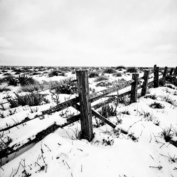 Snowlines