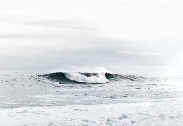 Solitary Serenity Surf