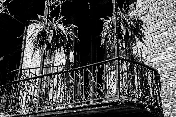 Iron Lace