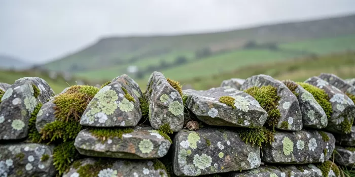 Connemara Granite