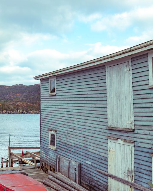 Stage 2 - Newfoundland art print