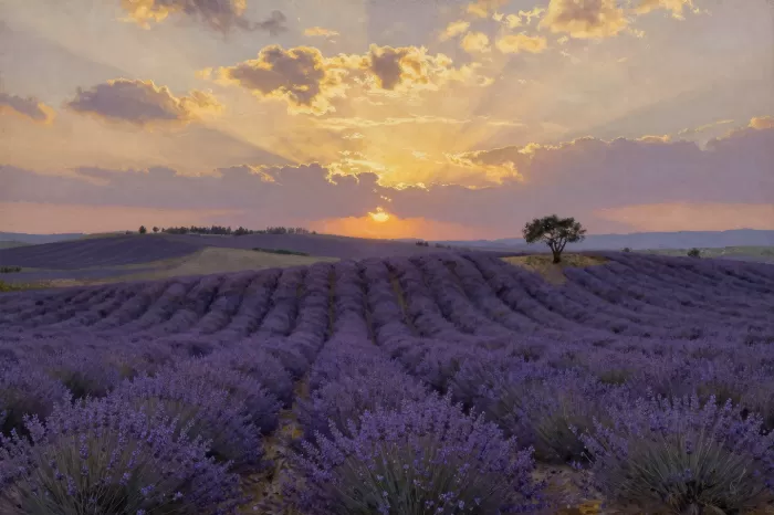 Violet Ridgeline