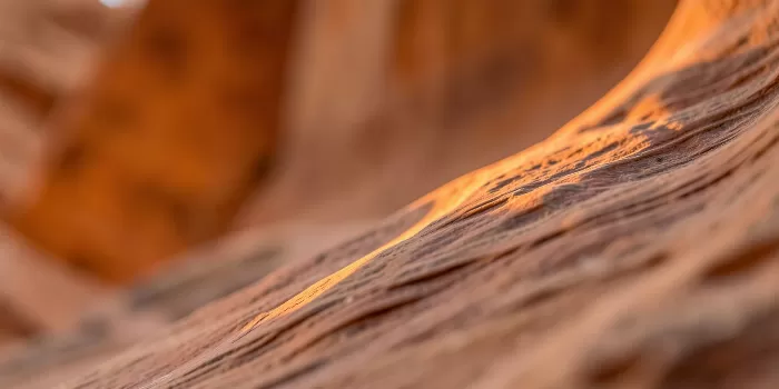 Amber Wave