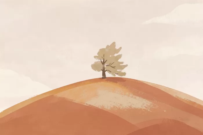 Open Country
