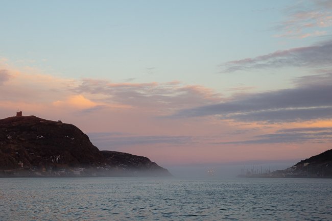 Coming Home - Newfoundland art print