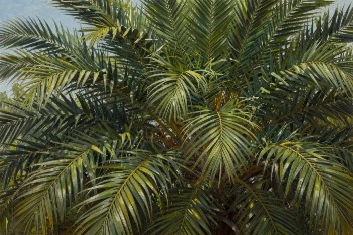 Palm Sky