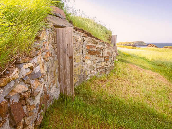 Root Cellar - Newfoundland art print