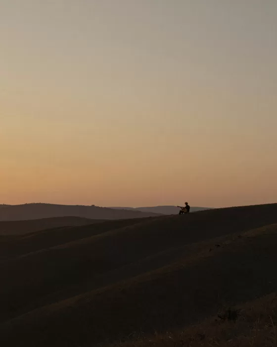 Dusk Musician